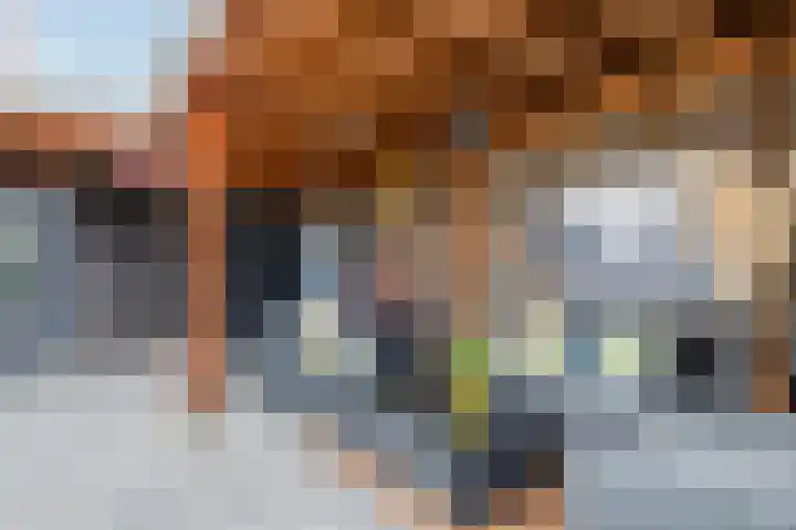 Schagenhof 1 Meteren thumbnail 35