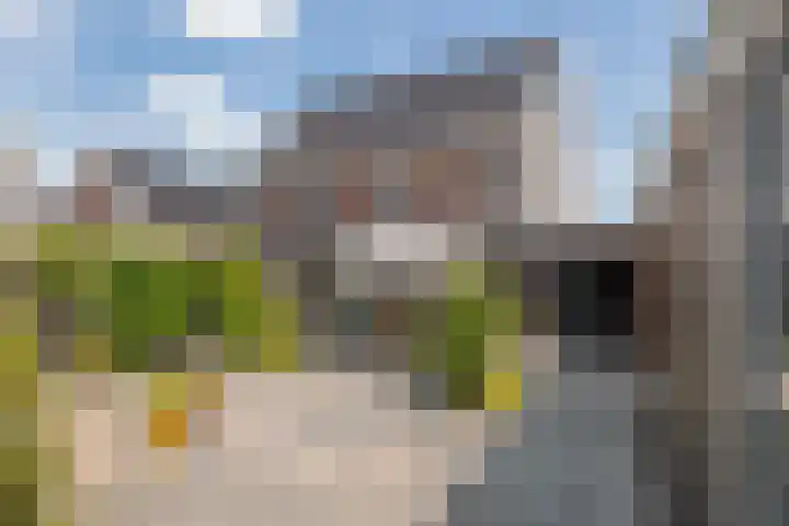 Schagenhof 1 Meteren thumbnail 37