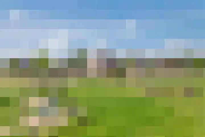 Schagenhof 1 Meteren thumbnail 41