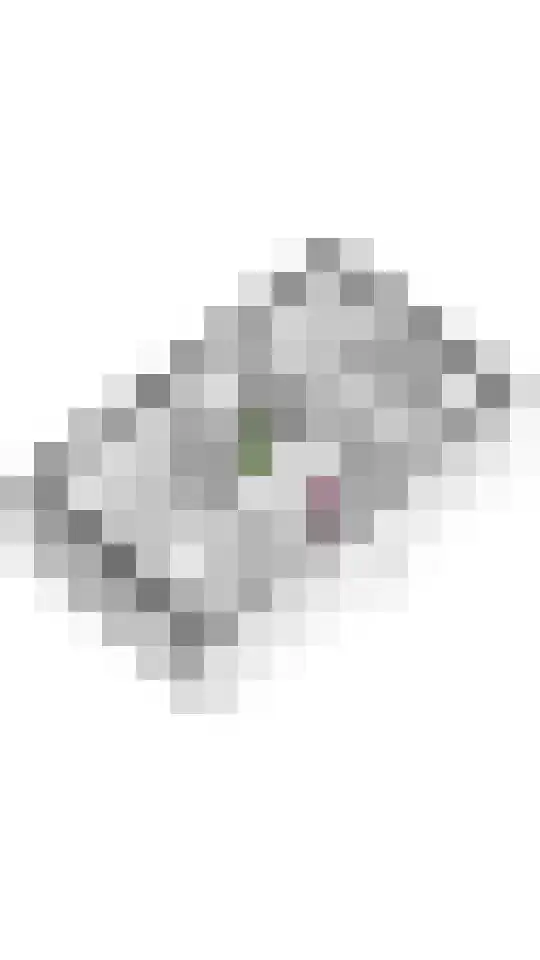 Schagenhof 1 Meteren thumbnail 46