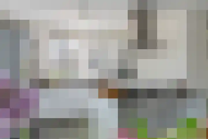 Schagenhof 1 Meteren thumbnail 8