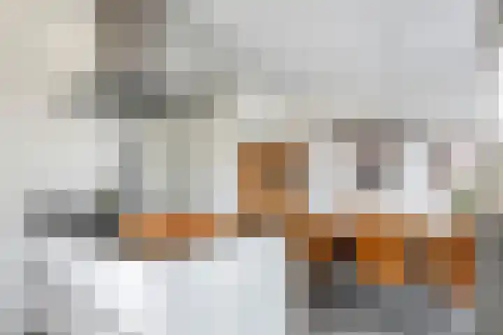Schagenhof 1 Meteren thumbnail 9
