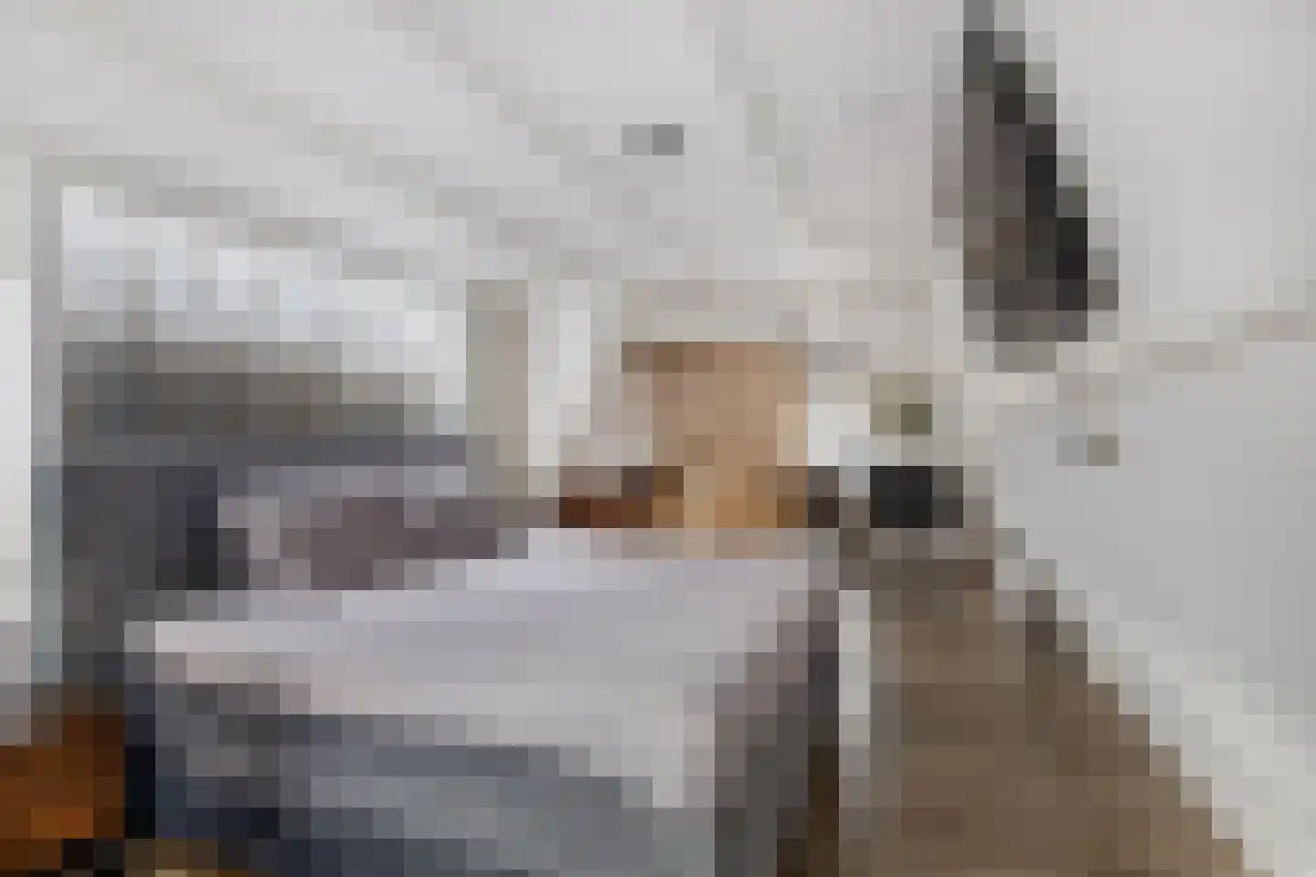 Schagensteeg 20 Leiden thumbnail 17