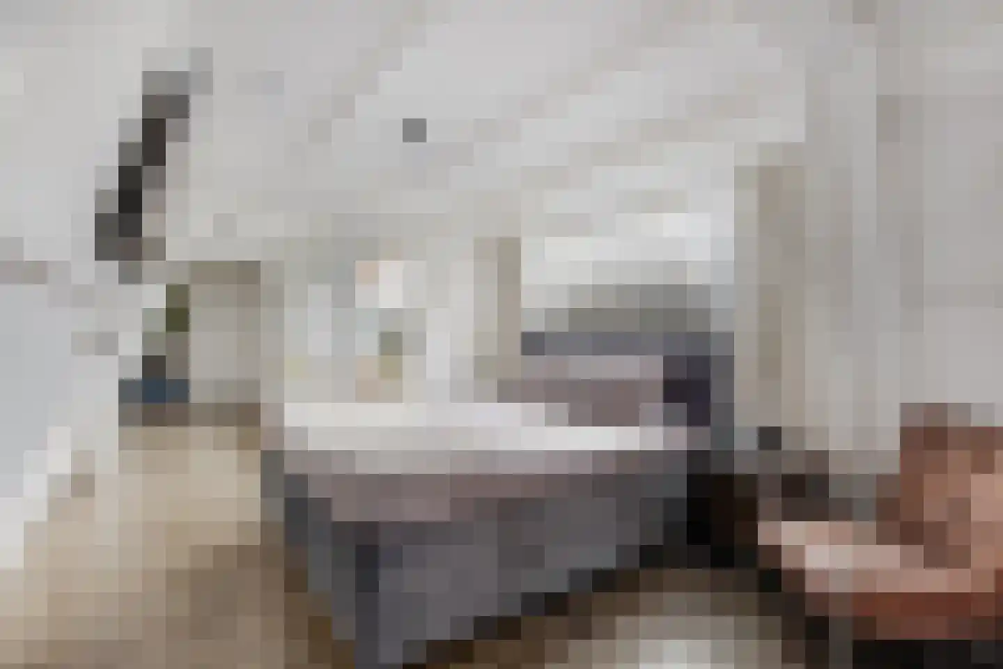 Schagensteeg 20 Leiden thumbnail 18