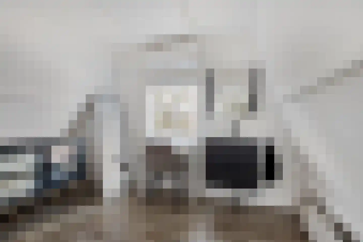 Schagensteeg 20 Leiden thumbnail 19