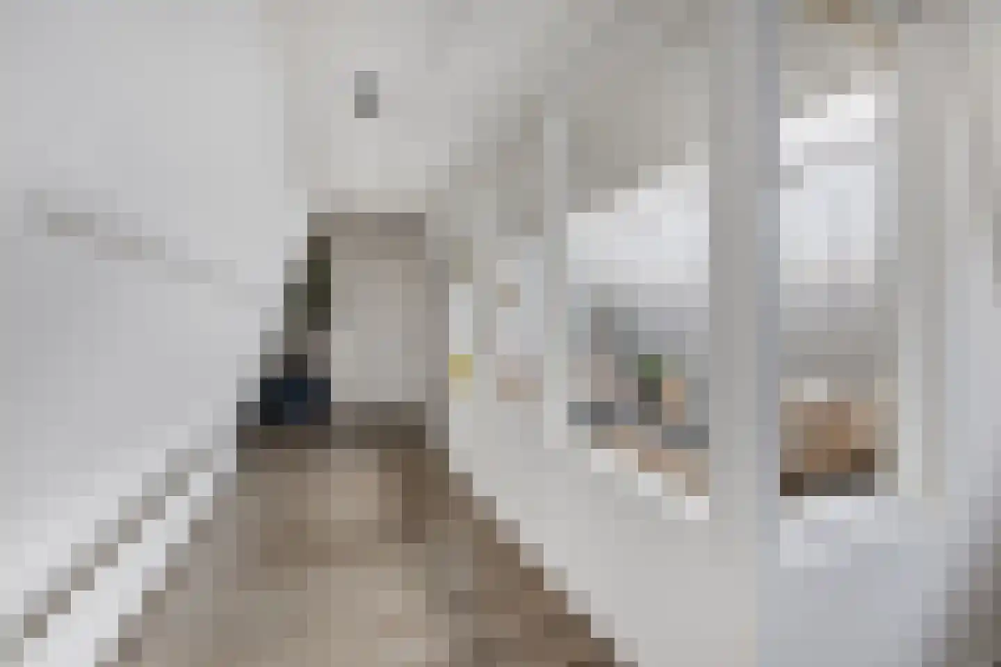 Schagensteeg 20 Leiden thumbnail 21