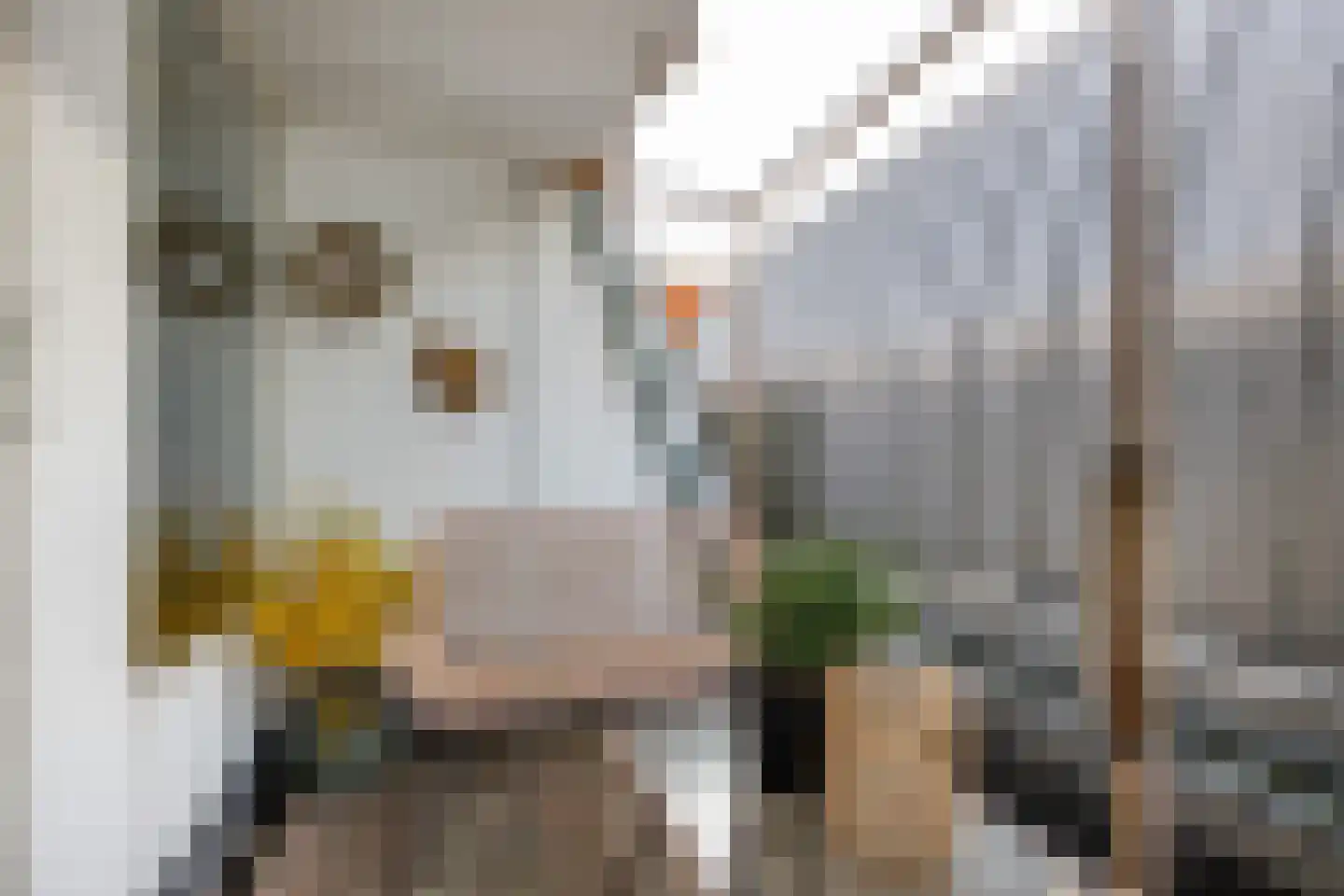 Schagensteeg 20 Leiden thumbnail 23