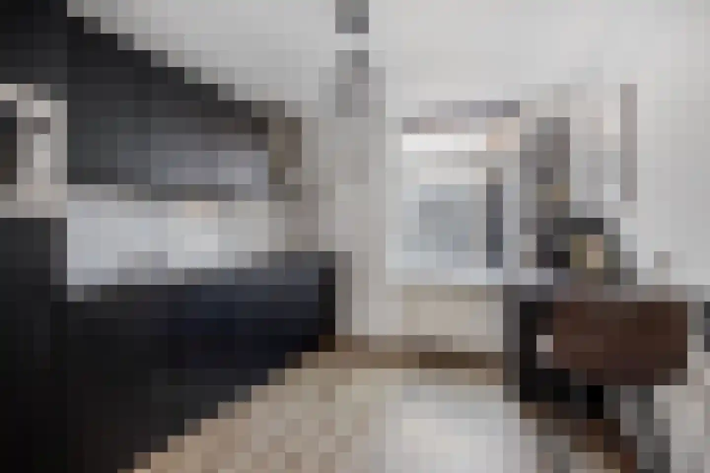 Schagensteeg 20 Leiden thumbnail 9