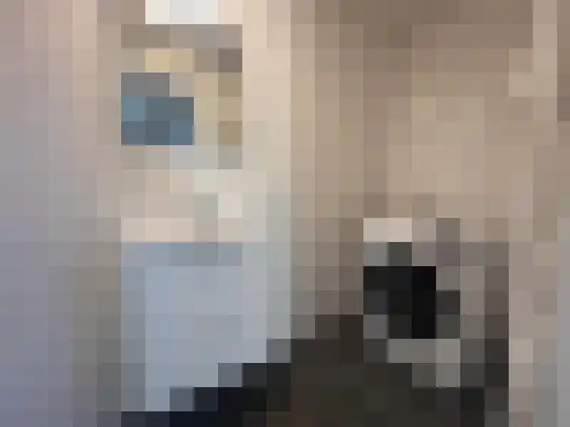 Schagensteeg 4 Leiden thumbnail 4