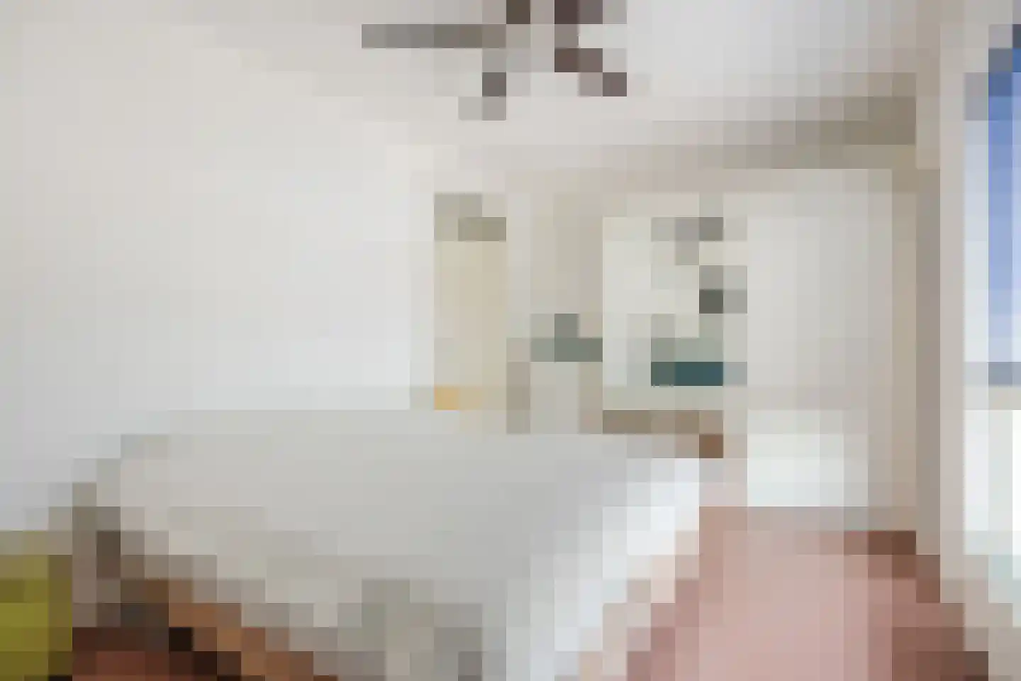 Schagenstraat 4 Tilburg thumbnail 16