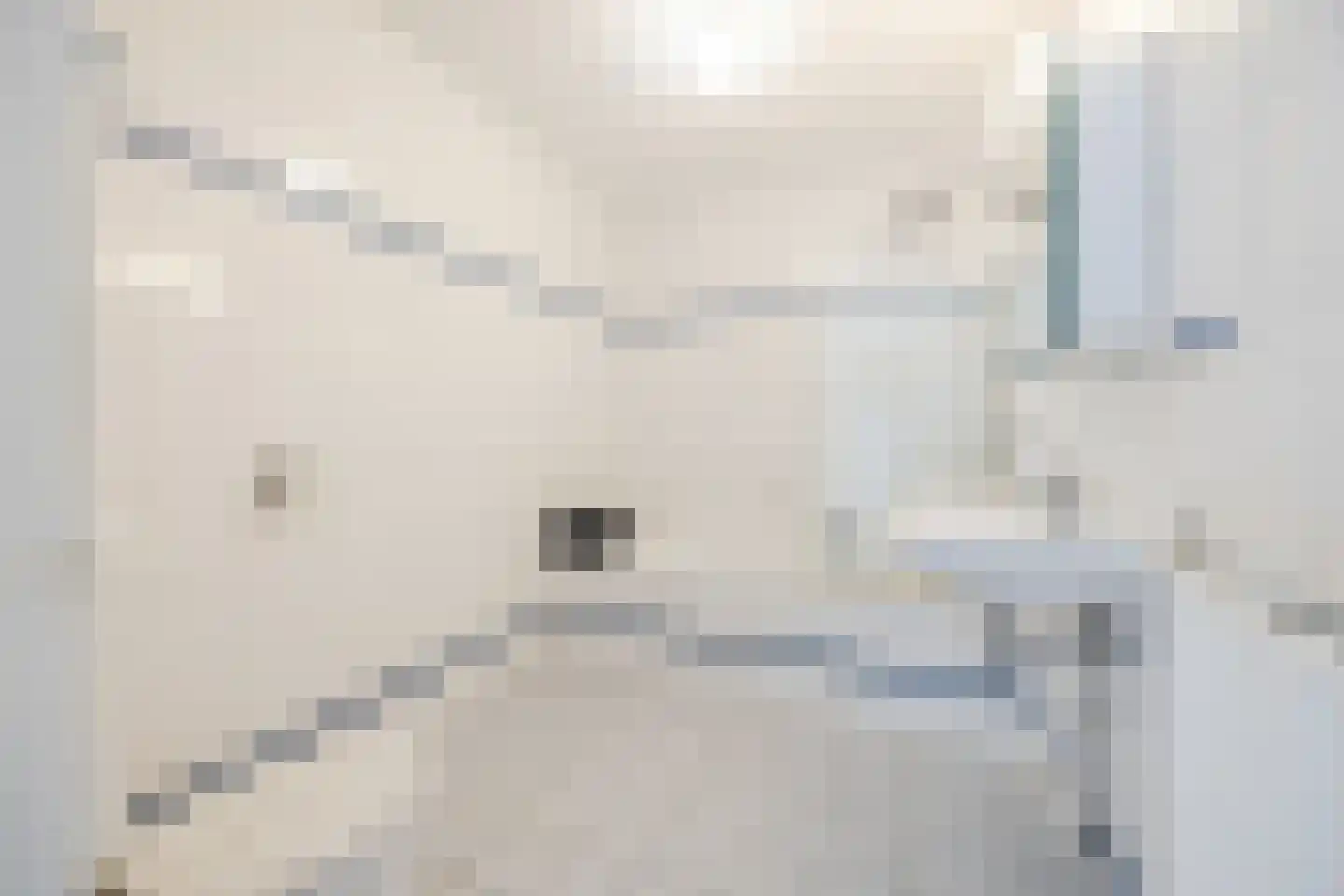 Schagenstraat 4 Tilburg thumbnail 20