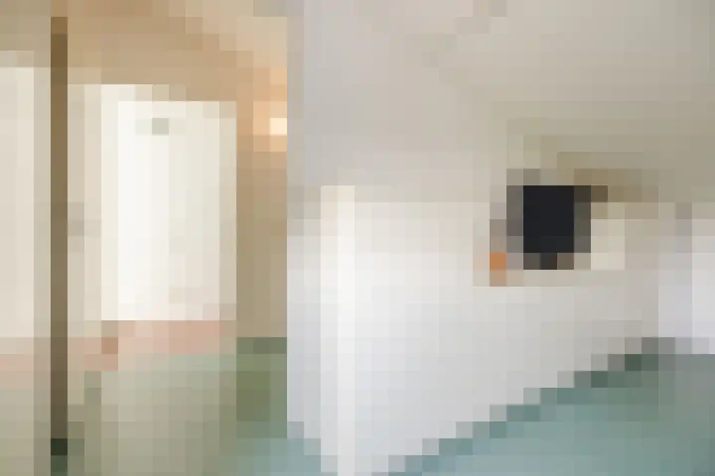 Schagenstraat 4 Tilburg thumbnail 26