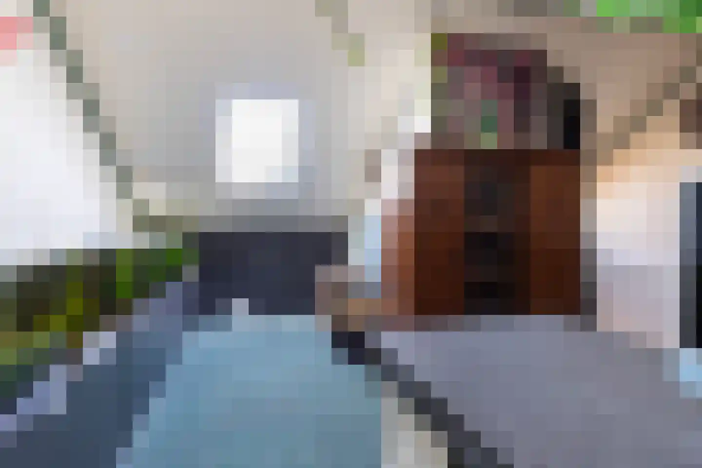 Schagenstraat 7 Arnhem thumbnail 19