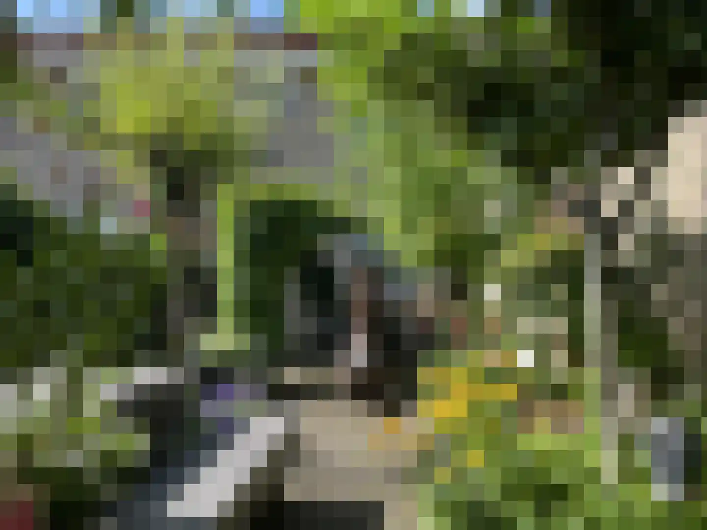 Schagenstraat 7 Arnhem thumbnail 24