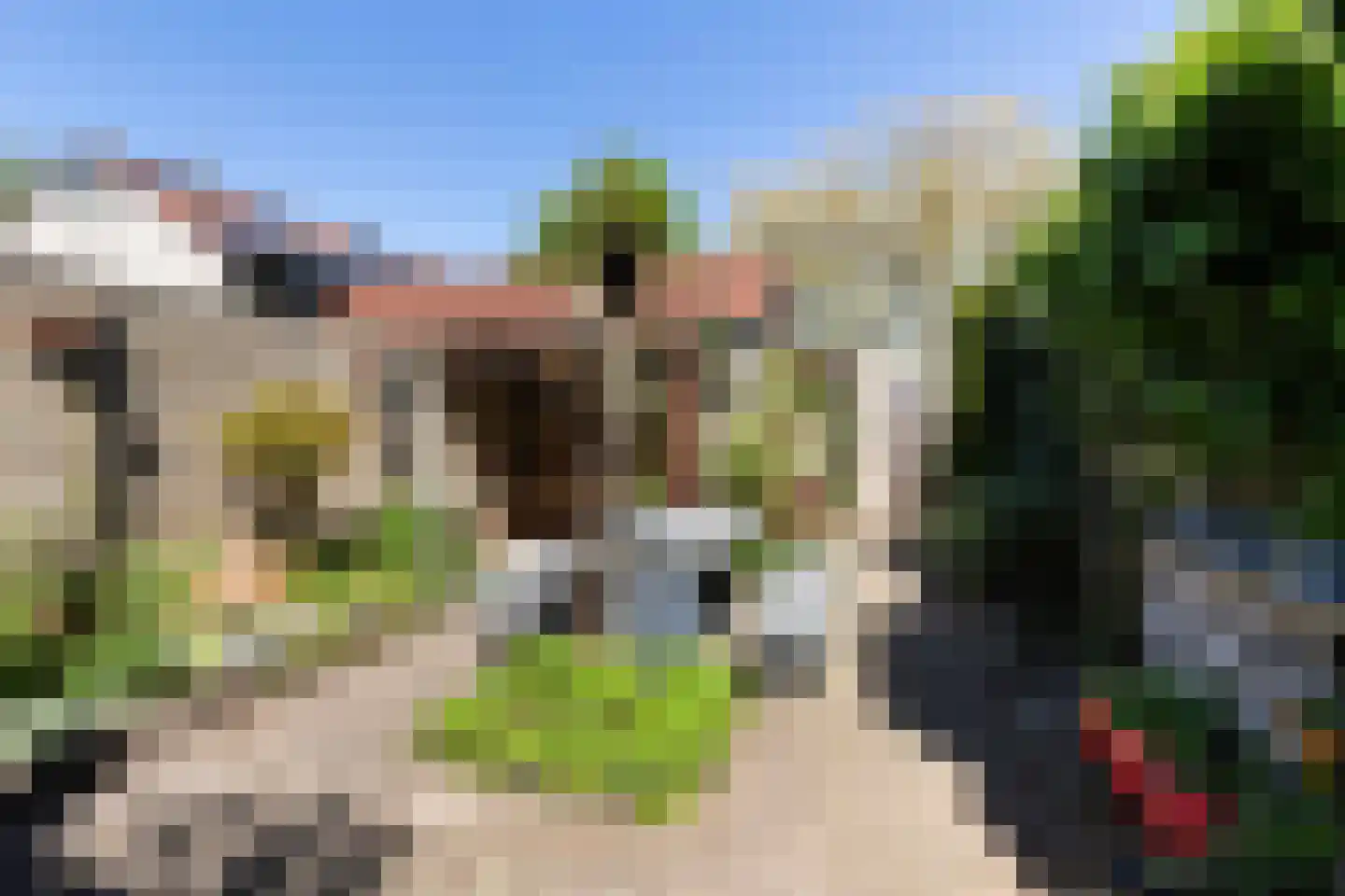 Schagenstraat 7 Arnhem thumbnail 4