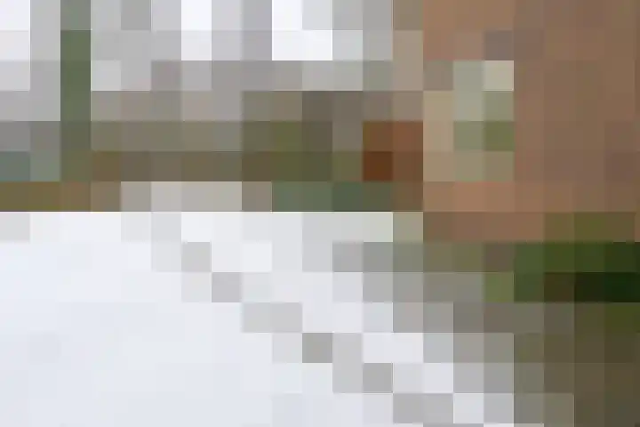 Schagerweg 39 Middenmeer thumbnail 31