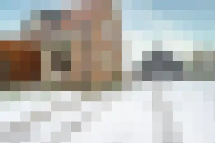 Schagerweg 39 Middenmeer thumbnail 37