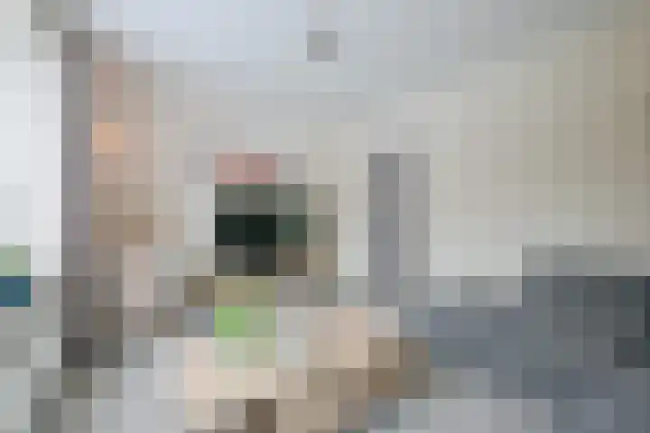 Schagerweg 39 Middenmeer thumbnail 8