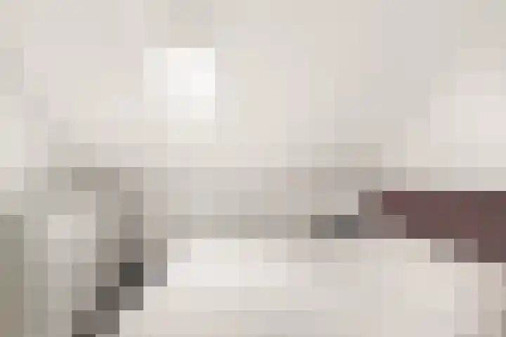 Schagerweide 5 Alkmaar thumbnail 37