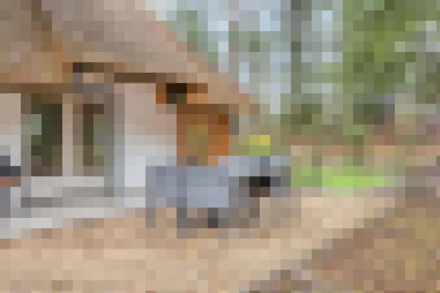 Schaijkseweg 12 54 Herpen thumbnail 28