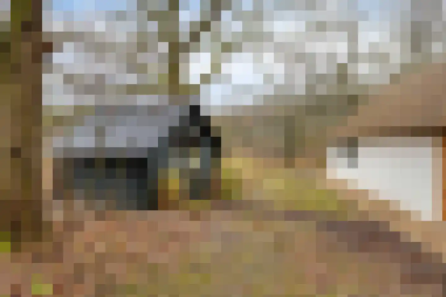 Schaijkseweg 12 54 Herpen thumbnail 30
