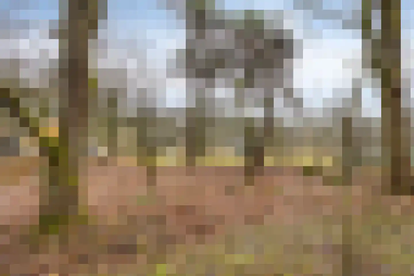 Schaijkseweg 12 54 Herpen thumbnail 31