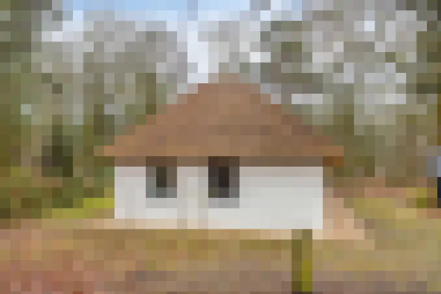 Schaijkseweg 12 54 Herpen thumbnail 32