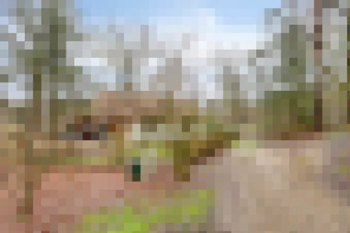 Schaijkseweg 12 54 Herpen thumbnail 33