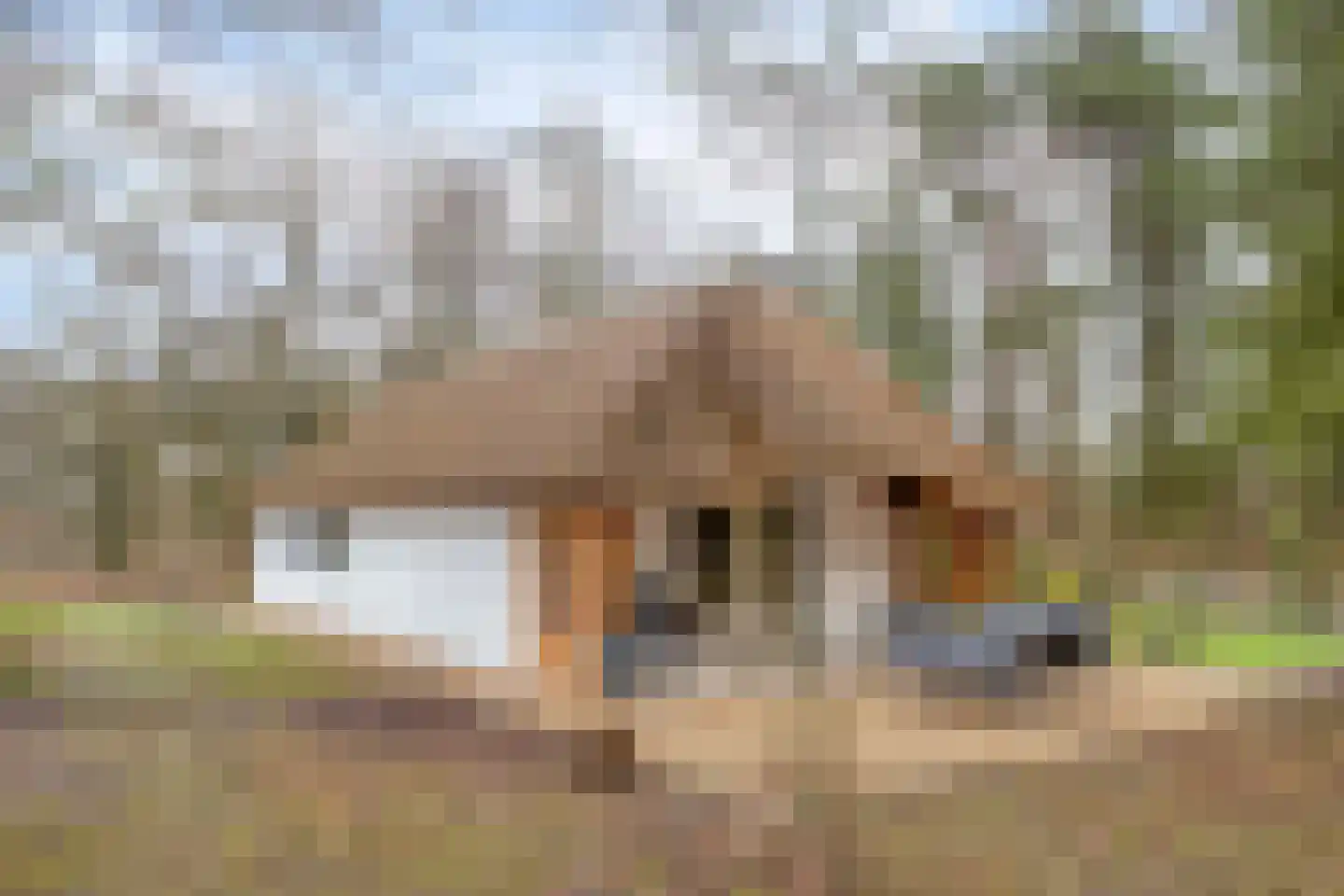 Schaijkseweg 12 54 Herpen thumbnail 35