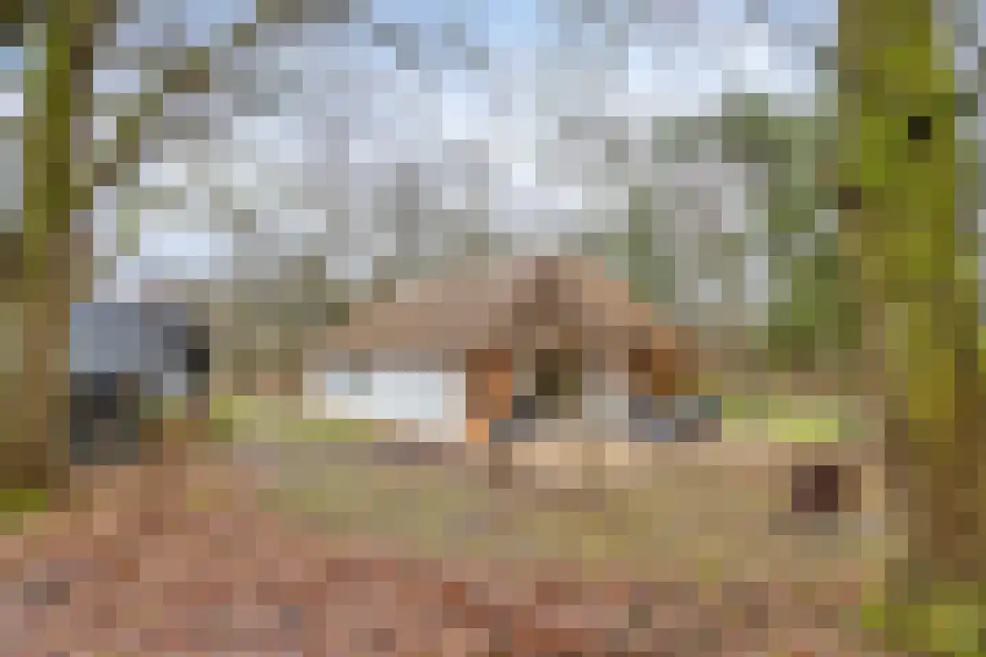 Schaijkseweg 12 54 Herpen thumbnail 36