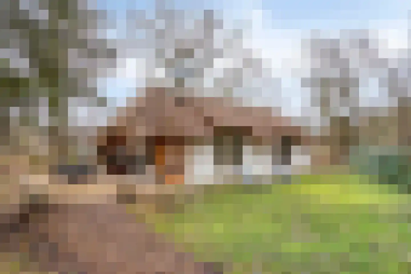 Schaijkseweg 12 54 Herpen thumbnail 37