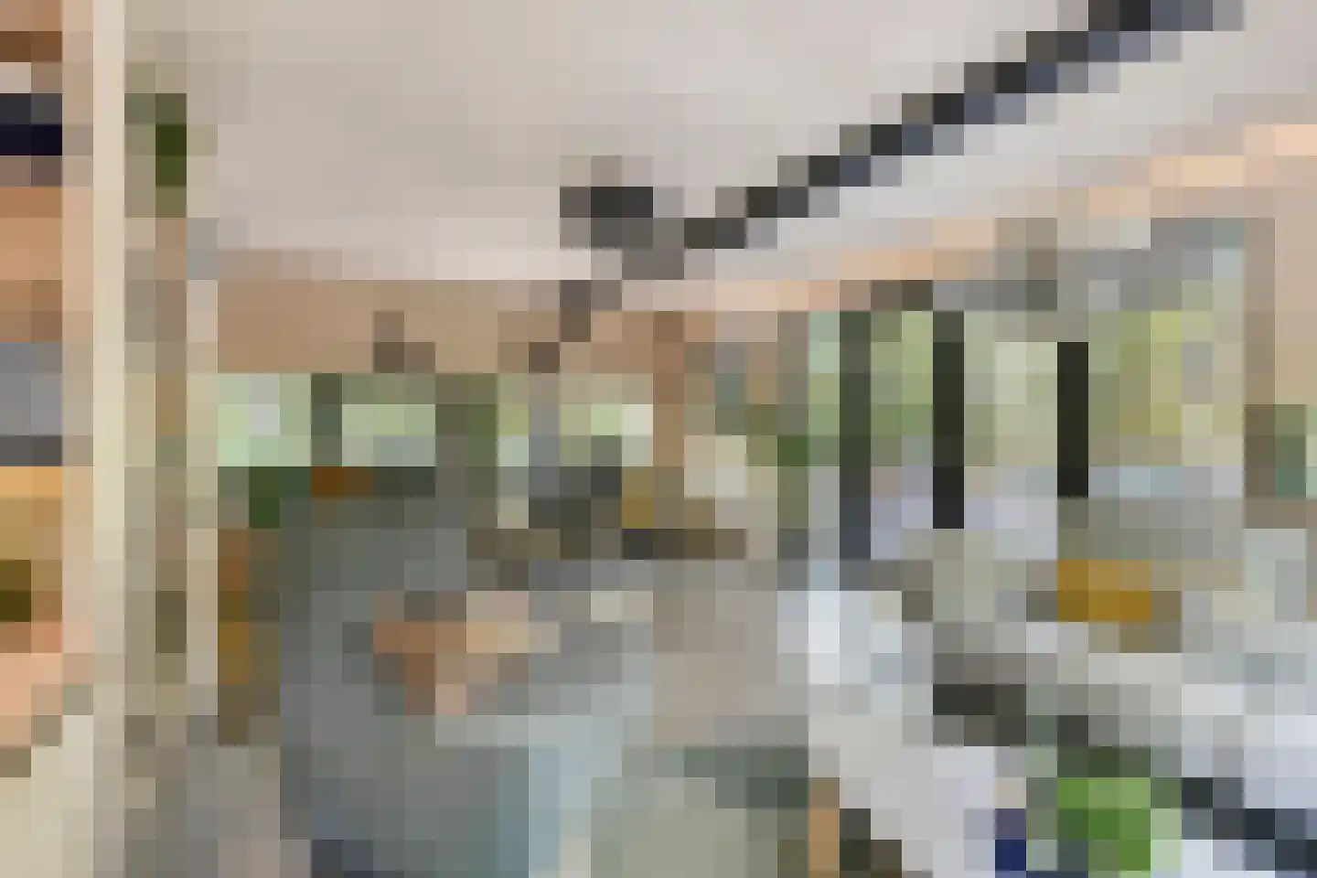 Schaijkseweg 18 Herpen thumbnail 13