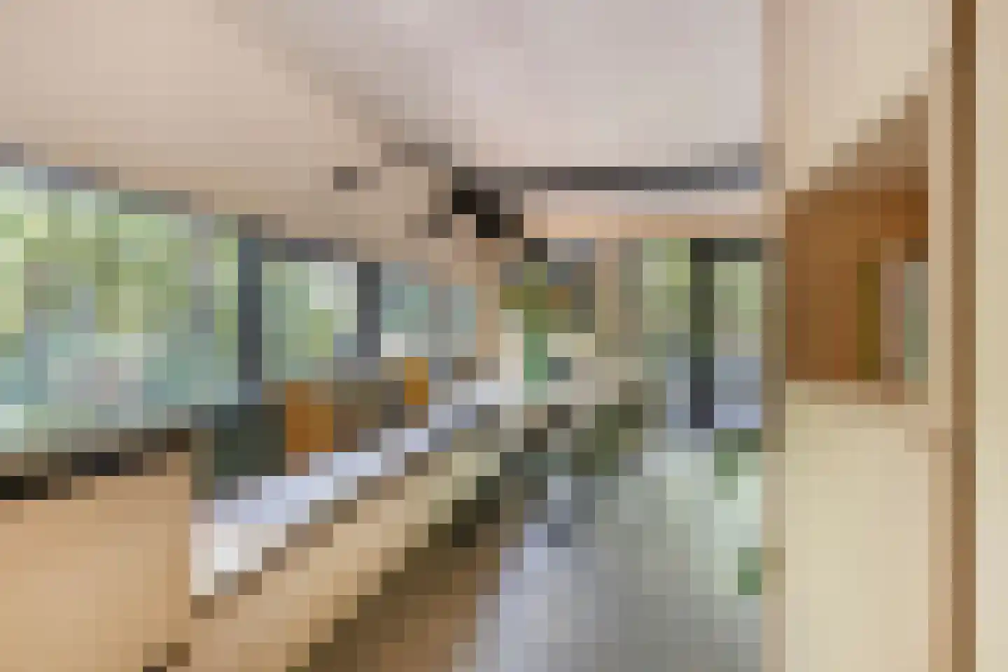 Schaijkseweg 18 Herpen thumbnail 17