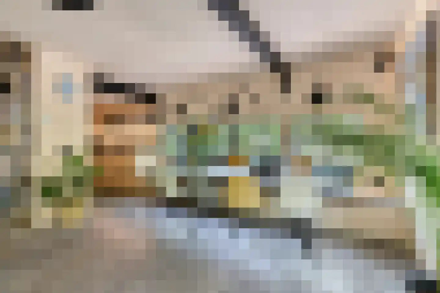 Schaijkseweg 18 Herpen thumbnail 18