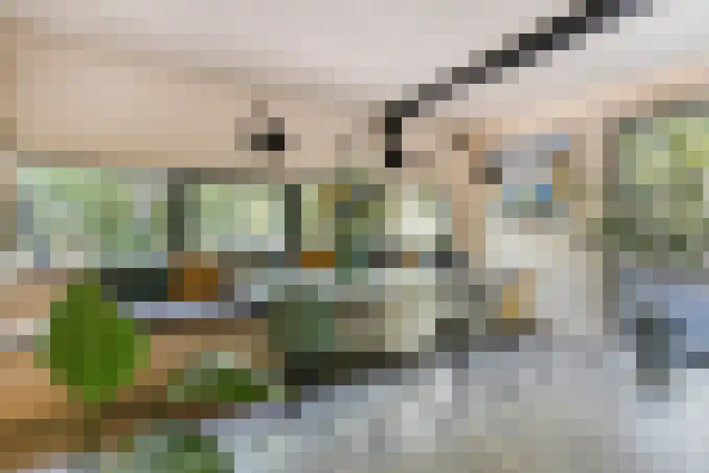 Schaijkseweg 18 Herpen thumbnail 19
