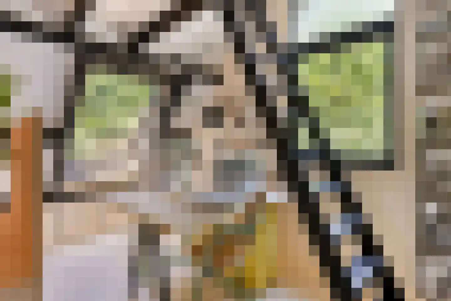 Schaijkseweg 18 Herpen thumbnail 31