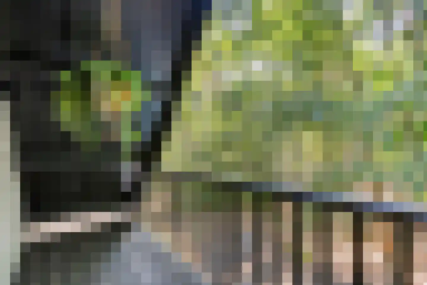 Schaijkseweg 18 Herpen thumbnail 38