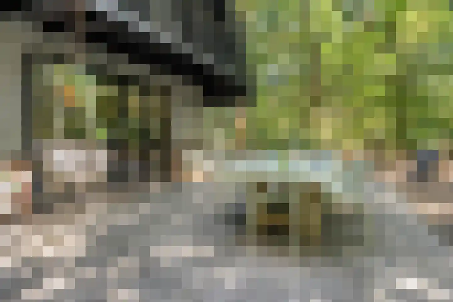 Schaijkseweg 18 Herpen thumbnail 41