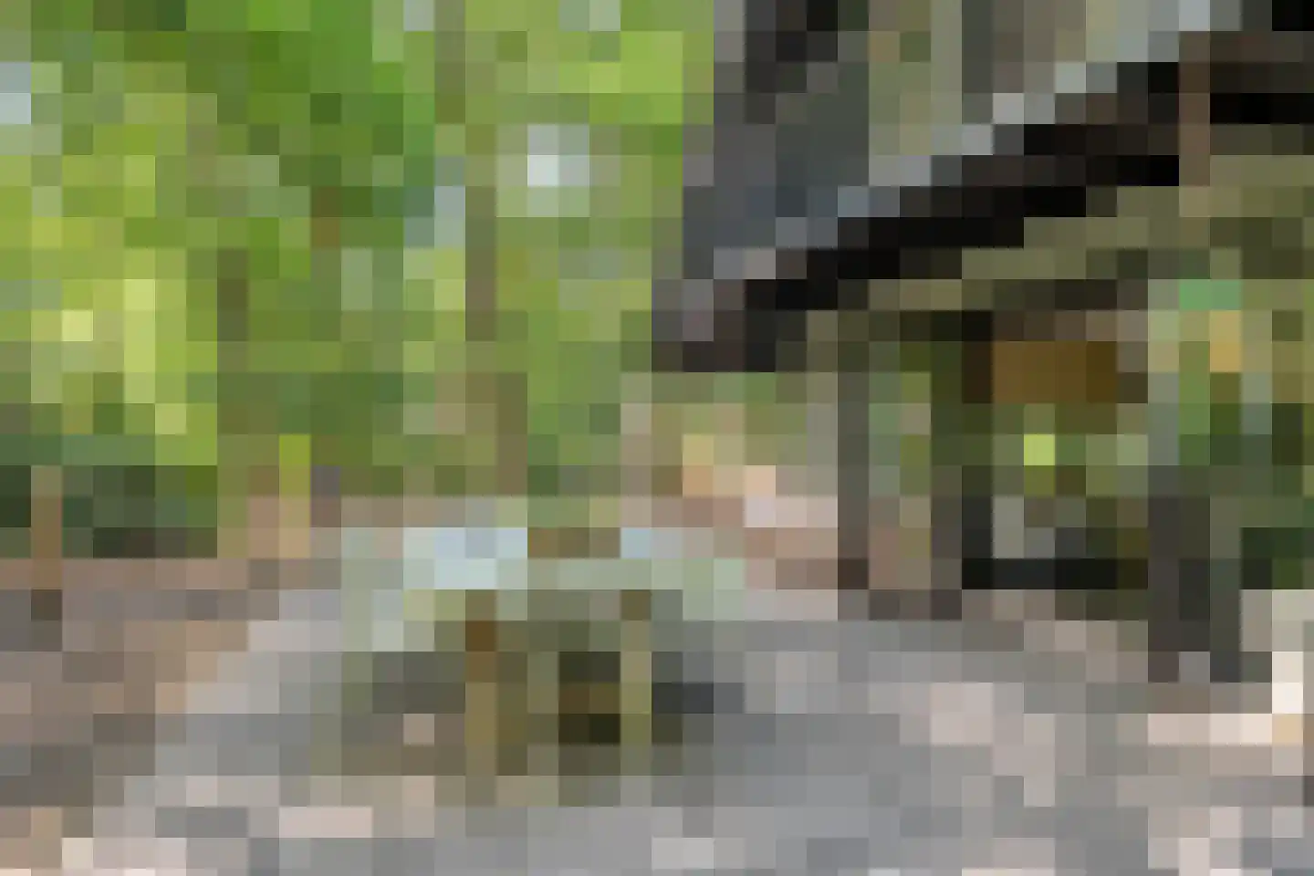 Schaijkseweg 18 Herpen thumbnail 42