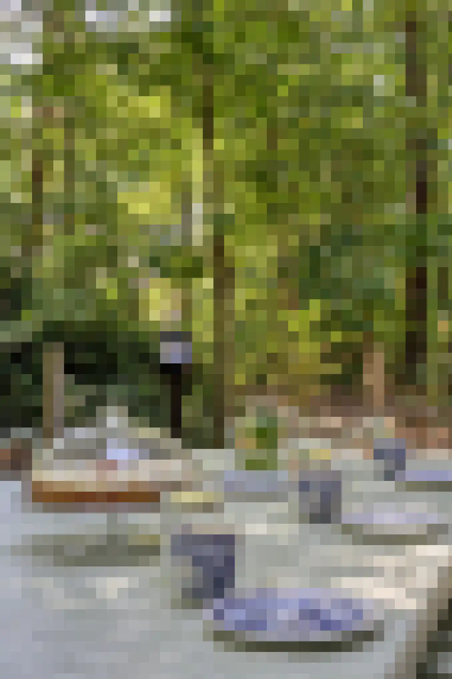 Schaijkseweg 18 Herpen thumbnail 44