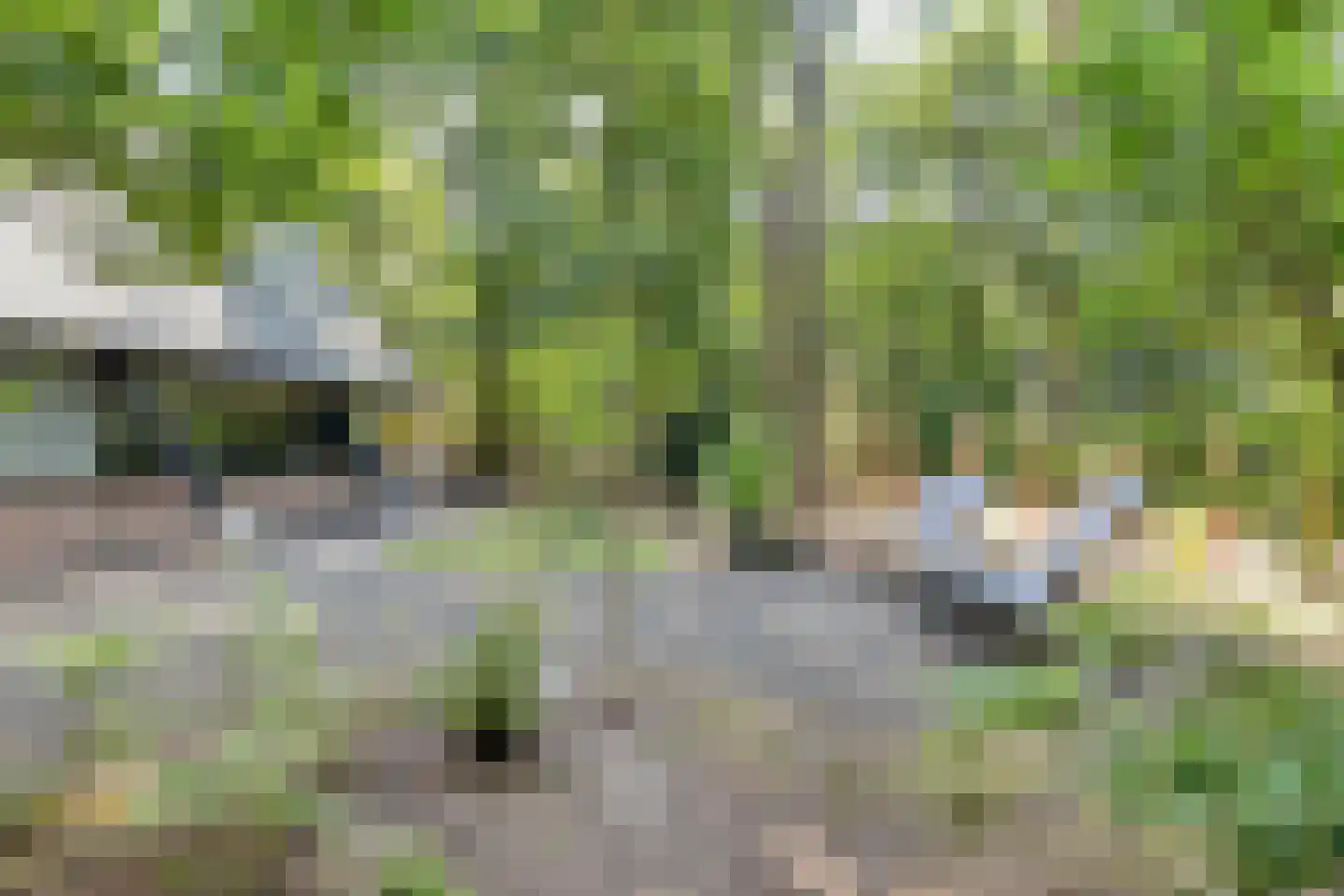 Schaijkseweg 18 Herpen thumbnail 45