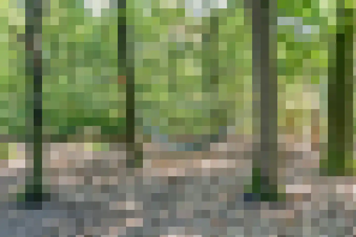 Schaijkseweg 18 Herpen thumbnail 47