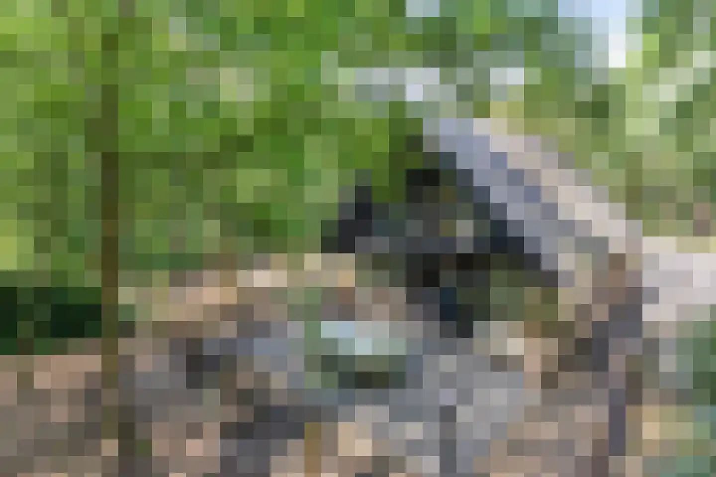 Schaijkseweg 18 Herpen thumbnail 48