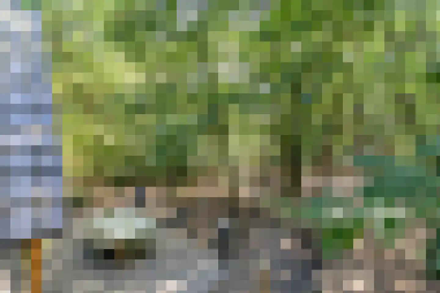 Schaijkseweg 18 Herpen thumbnail 50