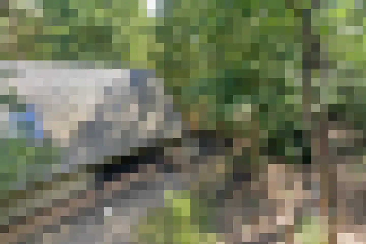 Schaijkseweg 18 Herpen thumbnail 51