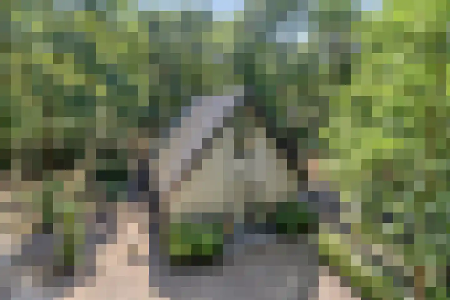 Schaijkseweg 18 Herpen thumbnail 52