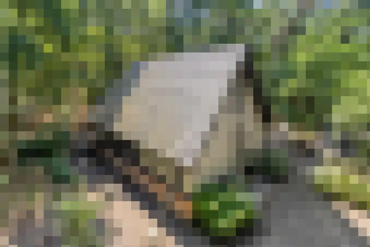 Schaijkseweg 18 Herpen thumbnail 53