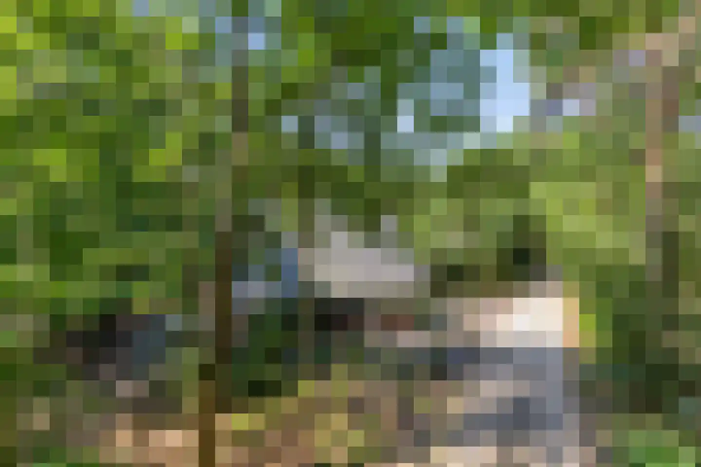 Schaijkseweg 18 Herpen thumbnail 54