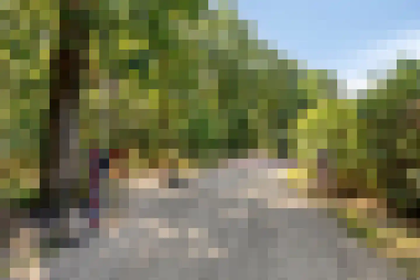 Schaijkseweg 18 Herpen thumbnail 57