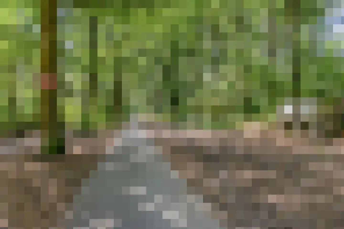 Schaijkseweg 18 Herpen thumbnail 58